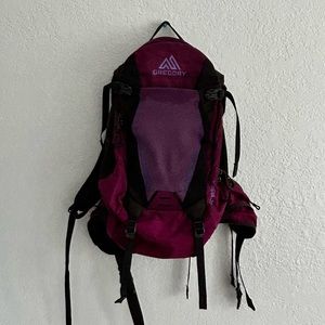 Gregory Amasa 14L Pack